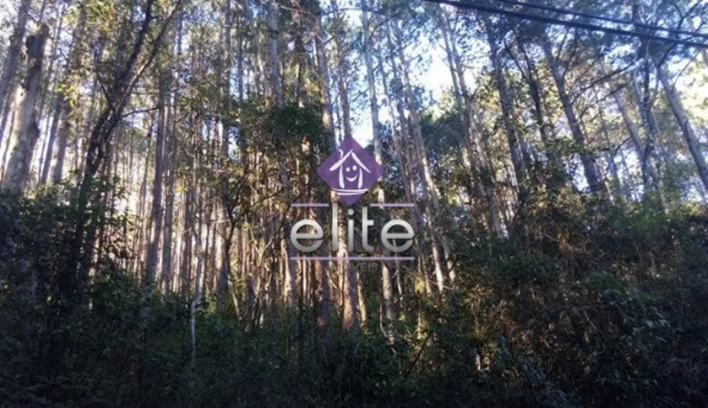 Terreno - Foto 2