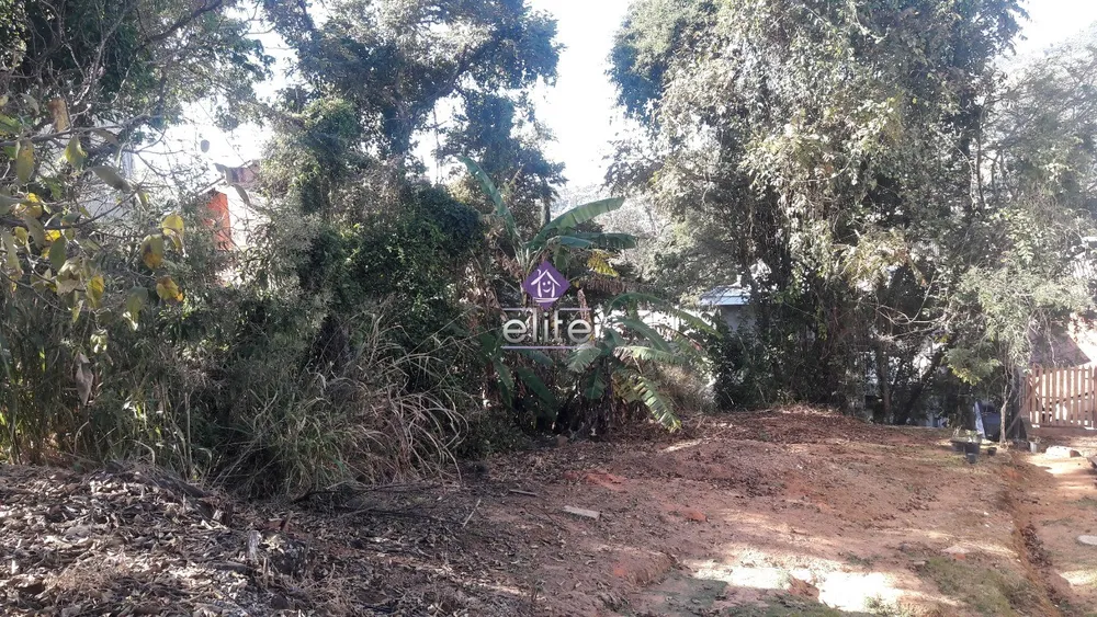 Terreno, 250 m² - Foto 3