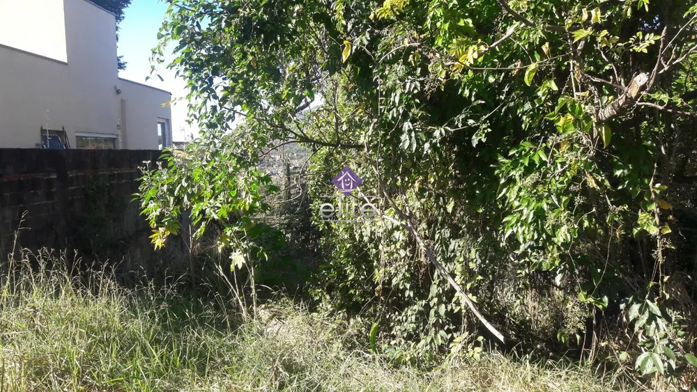 Terreno, 250 m² - Foto 4