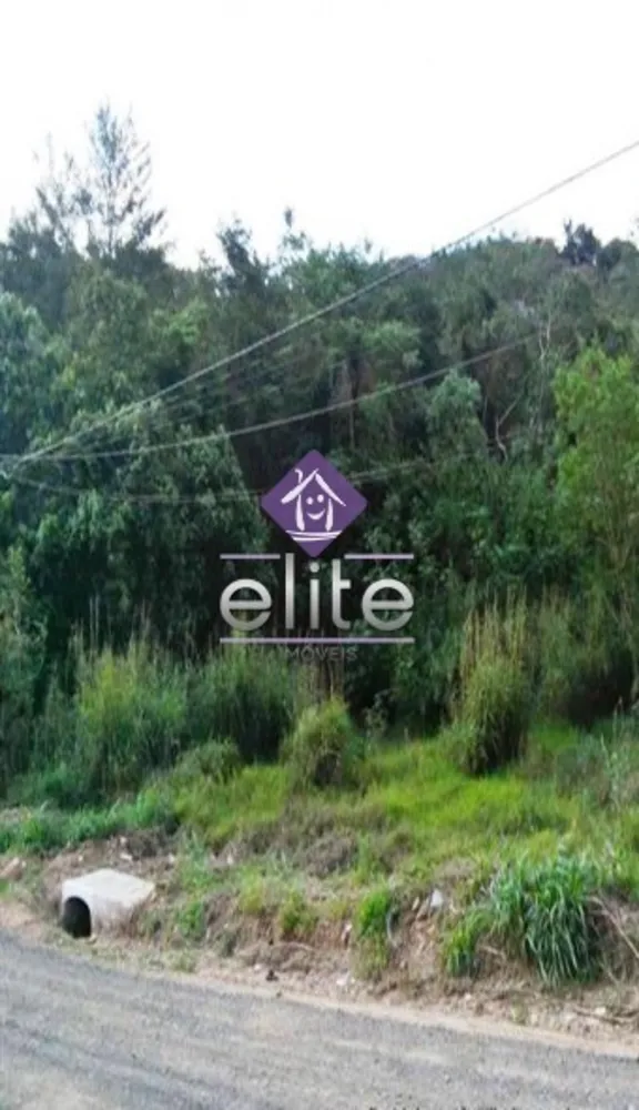 Terreno, 512 m² - Foto 3