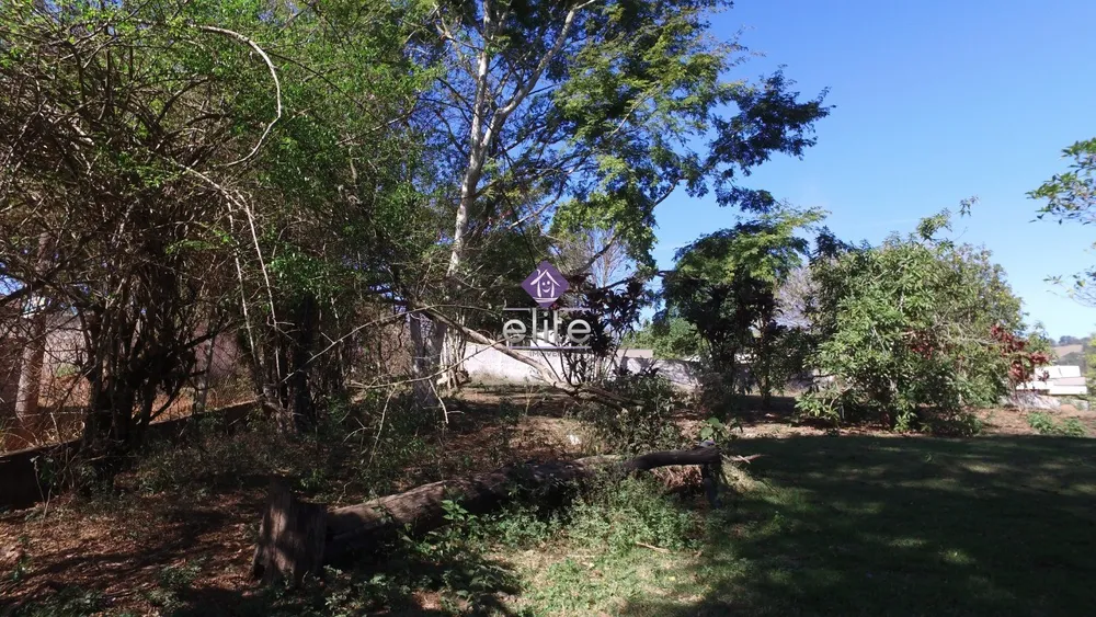 Terreno, 6068 m² - Foto 2