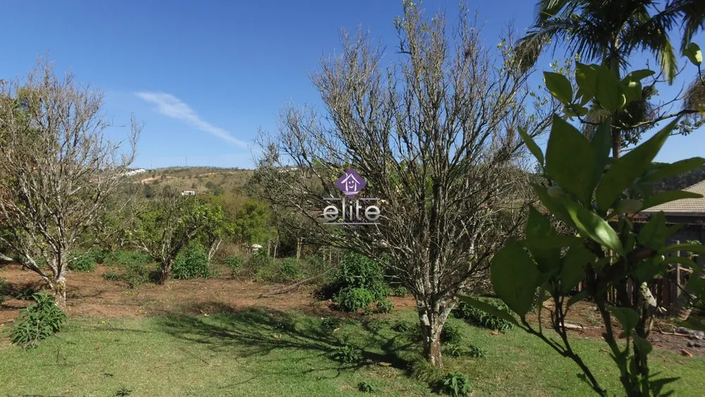 Terreno, 6068 m² - Foto 4