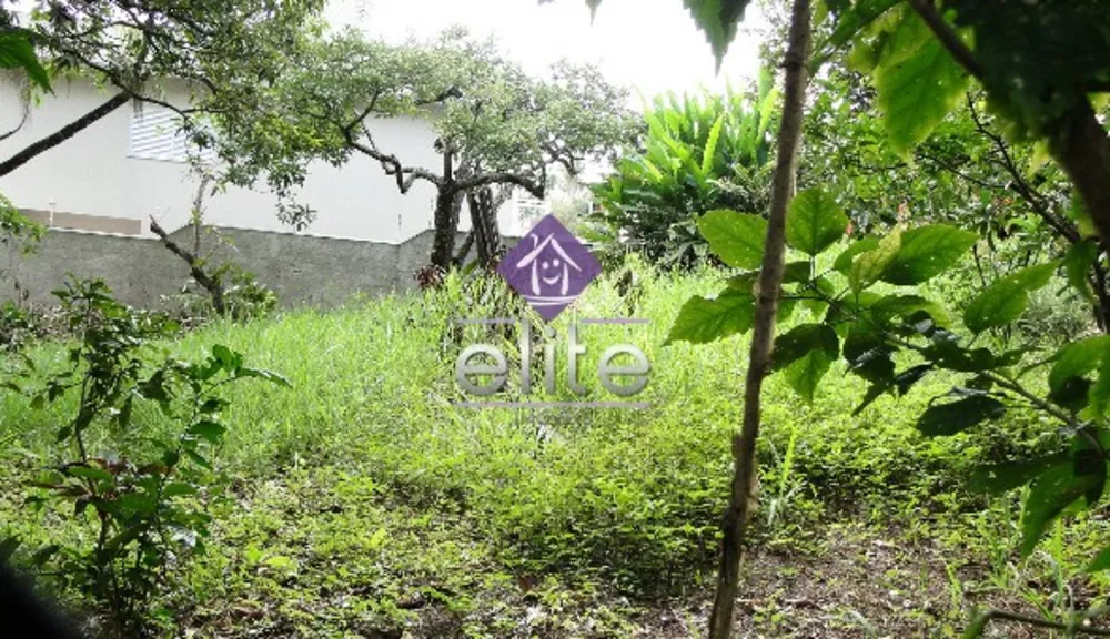 Terreno, 430 m² - Foto 3