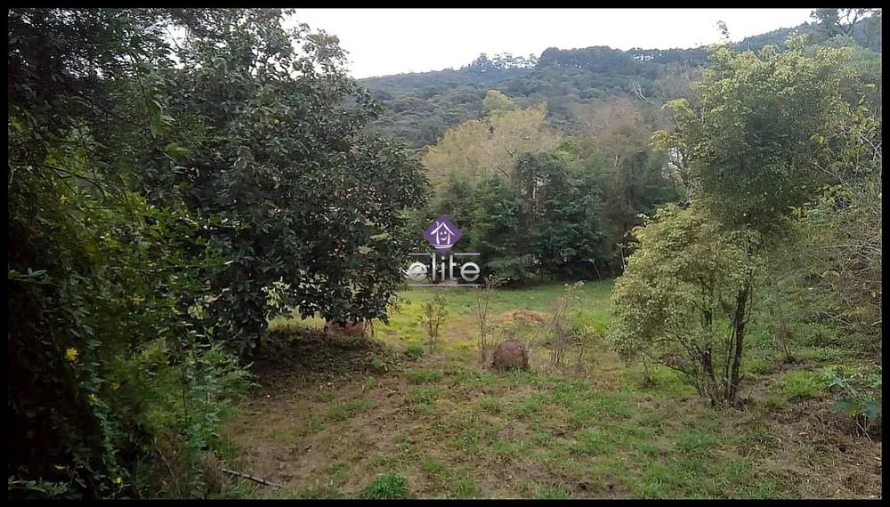 Terreno, 4880 m² - Foto 1