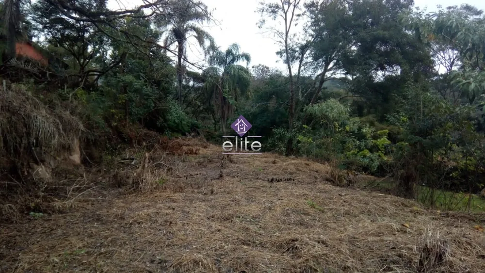 Terreno, 4880 m² - Foto 4