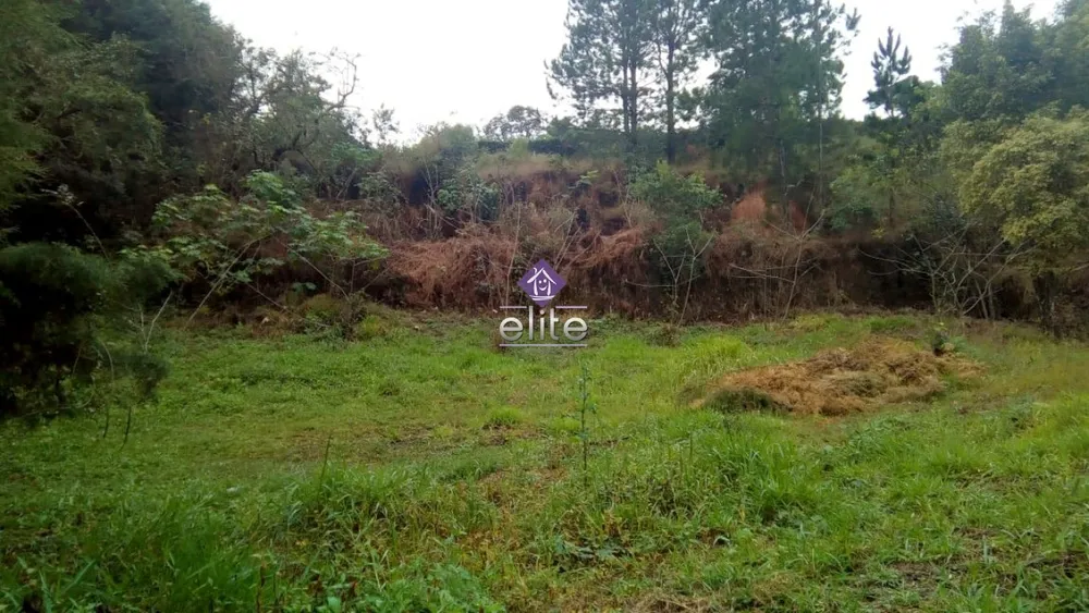 Terreno, 4880 m² - Foto 3
