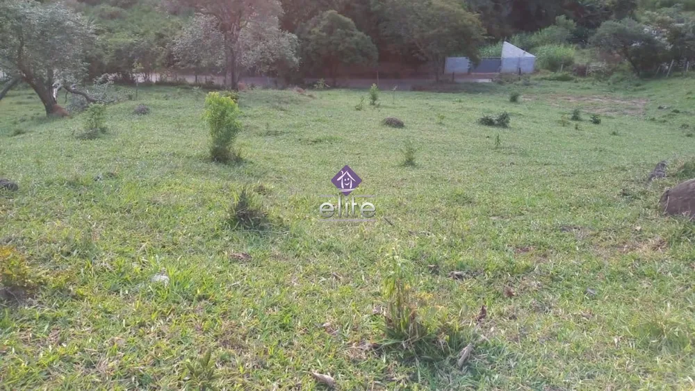 Terreno, 3196 m² - Foto 1