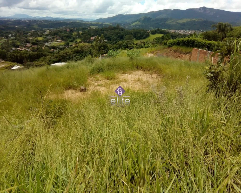 Terreno, 2000 m² - Foto 3