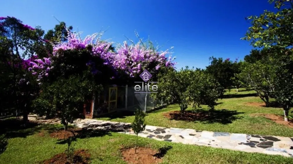 Chácara, 4 quartos, 1 hectares - Foto 4