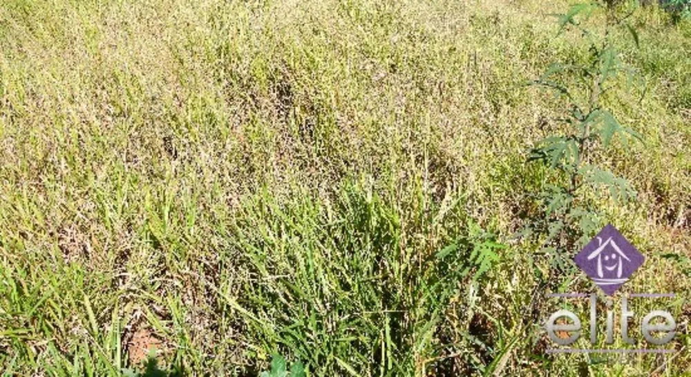 Terreno, 175 m² - Foto 3