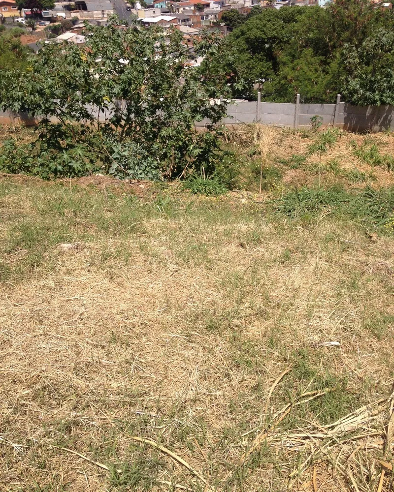 Terreno, 1460 m² - Foto 4