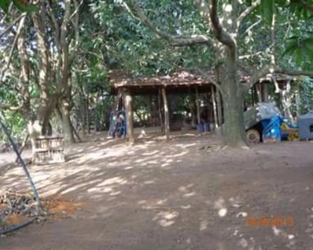 Sítio, 1 quarto, 40 m² - Foto 4