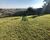 Terreno, 2142 m² - Foto 2