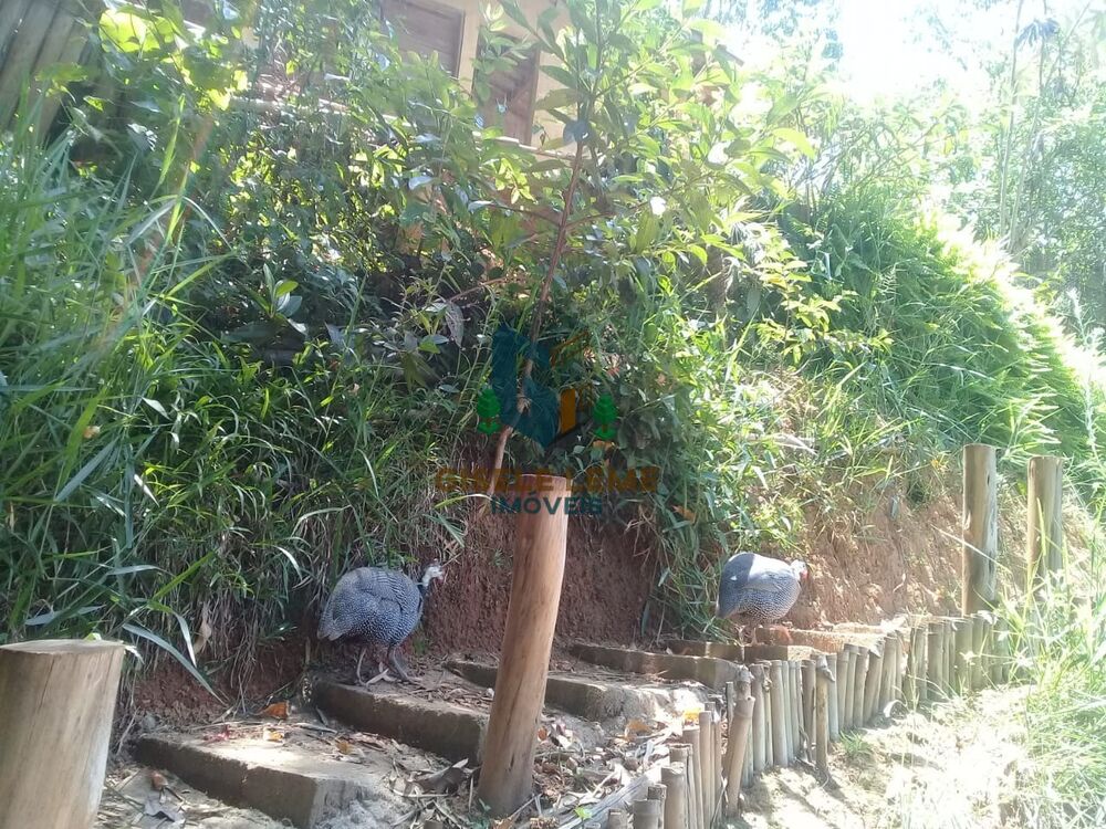 Chácara, 2 quartos - Foto 4