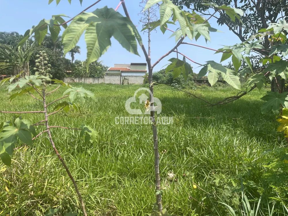 Terreno, 1050 m² - Foto 3