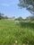 Terreno, 1050 m² - Foto 4