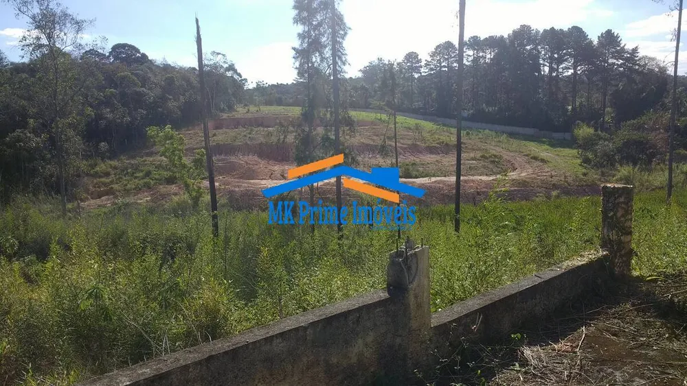 Terreno, 6692 m² - Foto 4