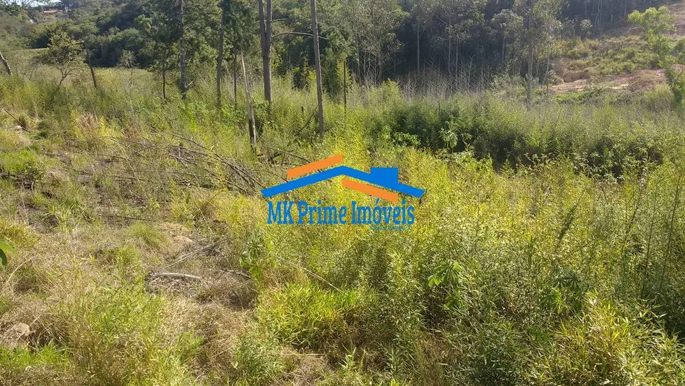 Terreno, 6692 m² - Foto 1