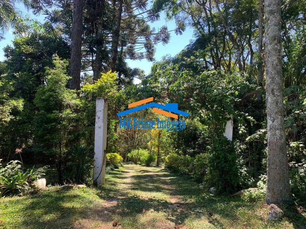 Sítio, 3 quartos, 3 hectares - Foto 7