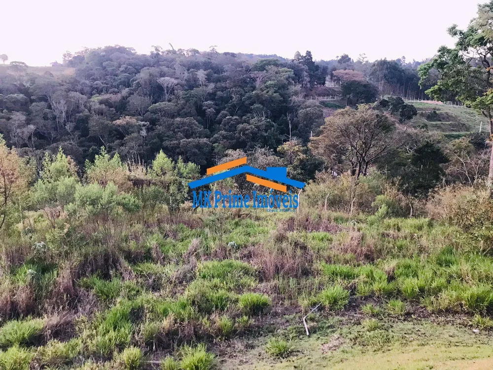 Chácara, 3 quartos, 10000 m² - Foto 6