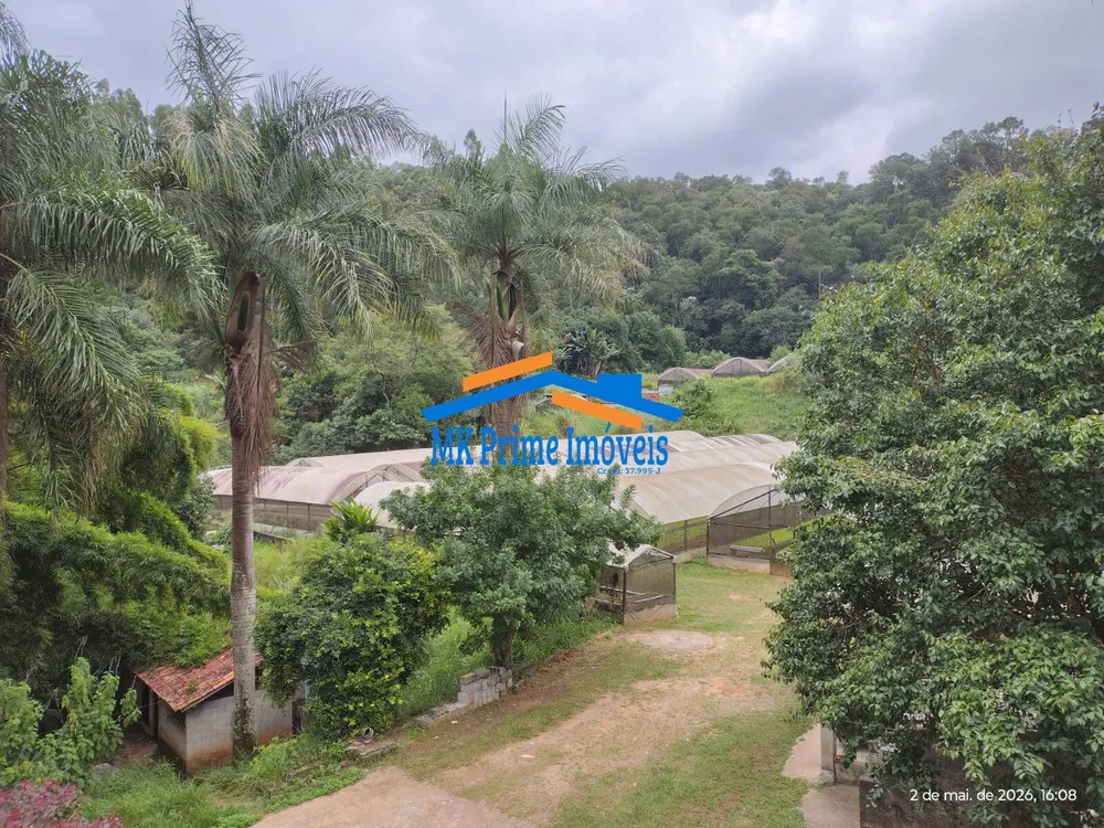 Terreno, 5 hectares - Foto 2