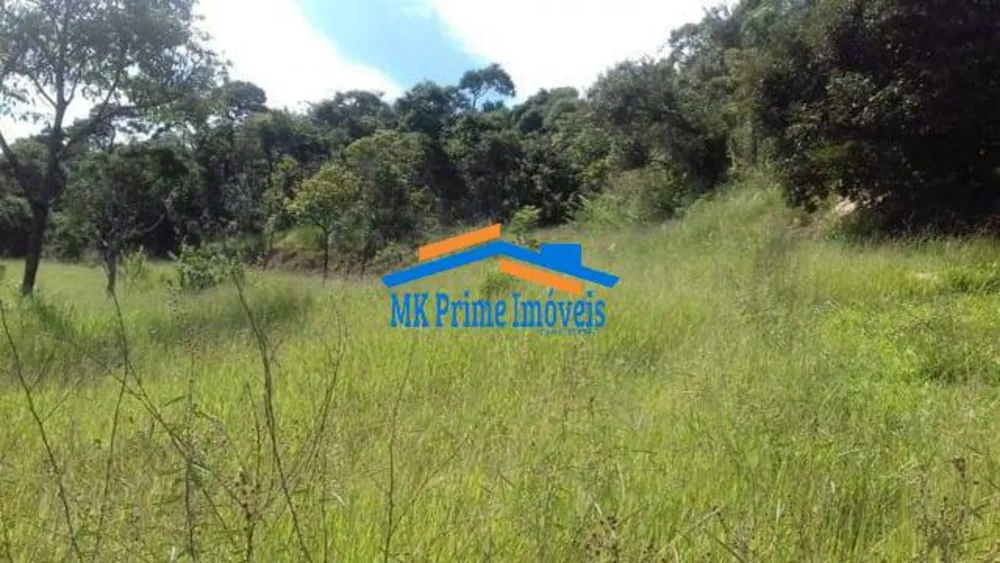Terreno, 2 hectares - Foto 11