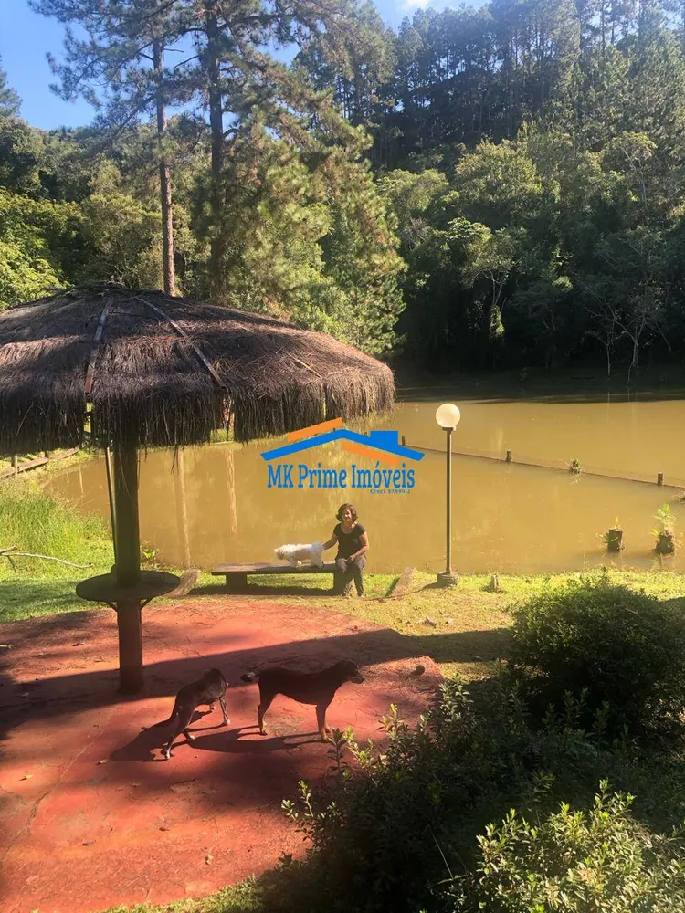 Sítio, 8 quartos, 12 hectares - Foto 12
