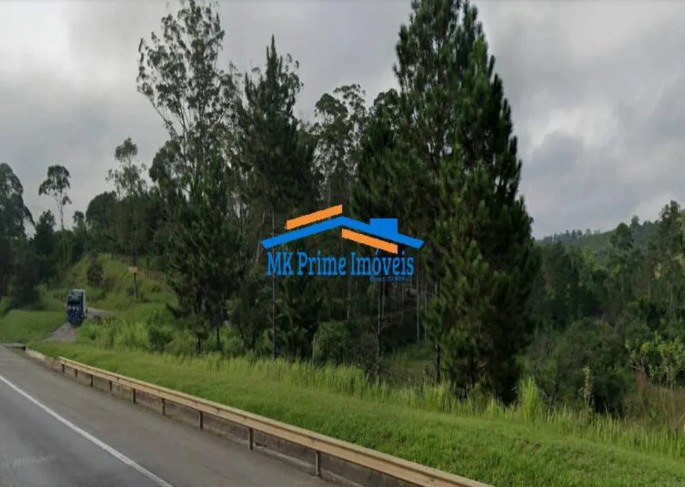 Terreno, 12 hectares - Foto 4