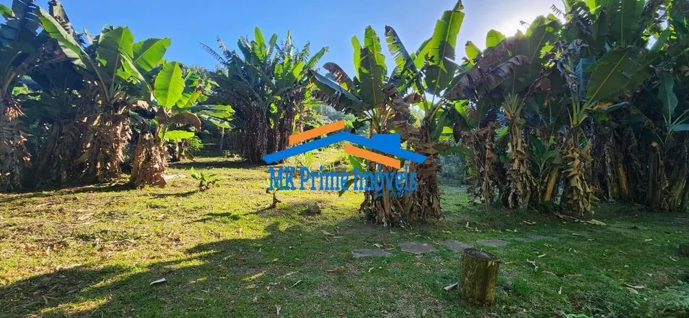 Chácara, 4 quartos, 4000 m² - Foto 4