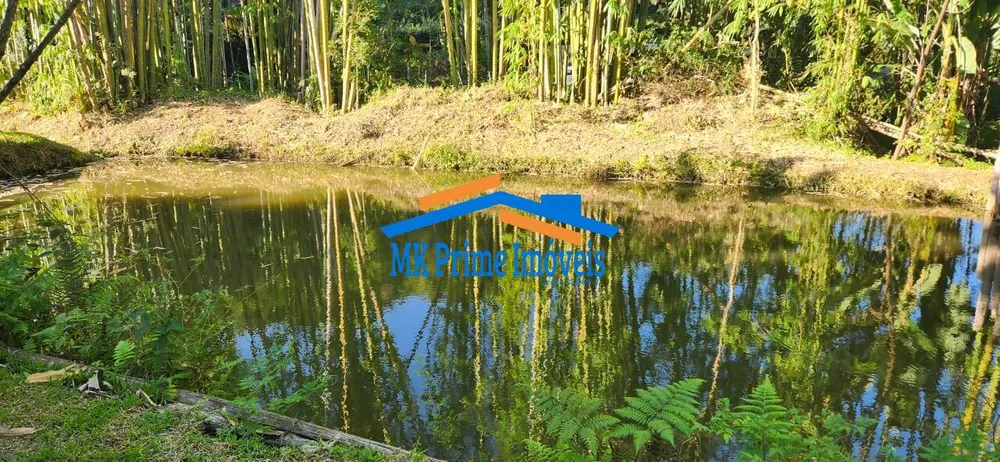 Chácara, 4 quartos, 4000 m² - Foto 1