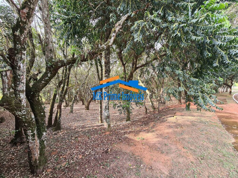 Terreno à venda, 1575m² - Foto 2