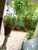 Sobrado, 3 quartos, 332 m² - Foto 2