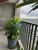 Apartamento, 2 quartos, 52 m² - Foto 2