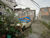 Terreno, 600 m² - Foto 3