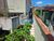 Sobrado, 5 quartos, 224 m² - Foto 4