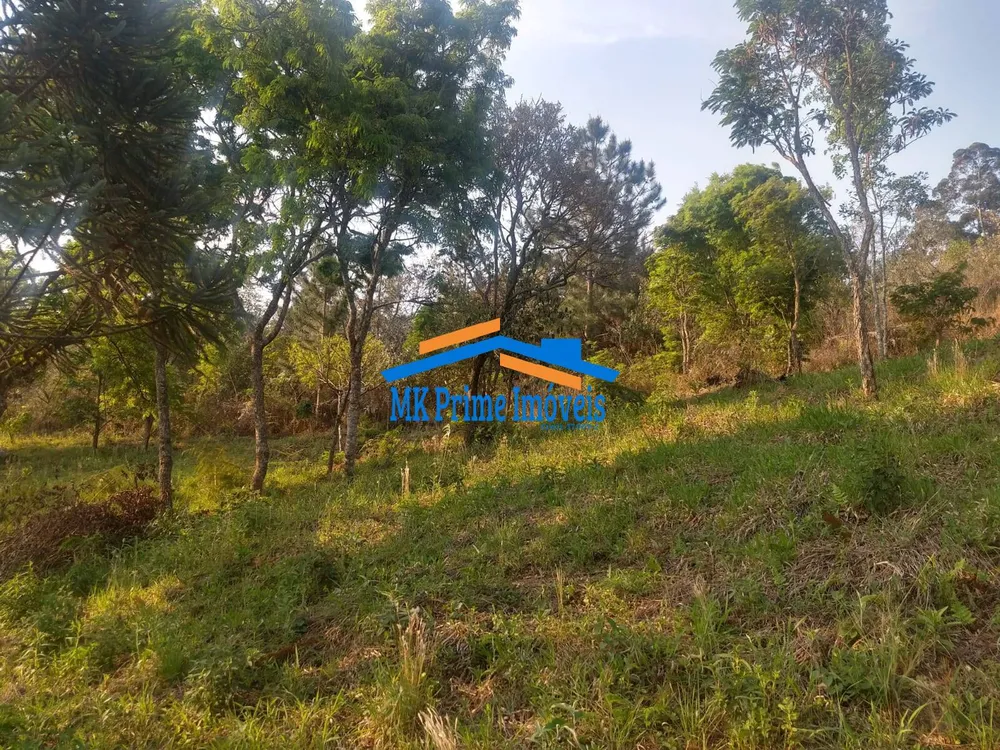 Sítio, 4 quartos, 3 hectares - Foto 4