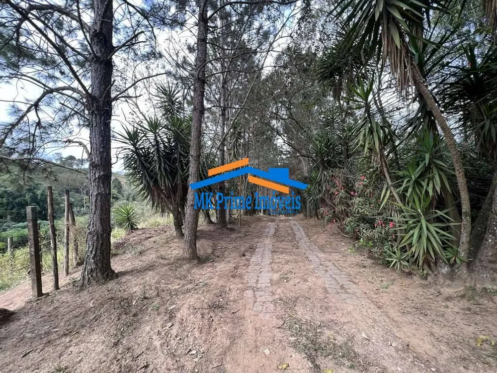 Terreno, 2 hectares - Foto 3