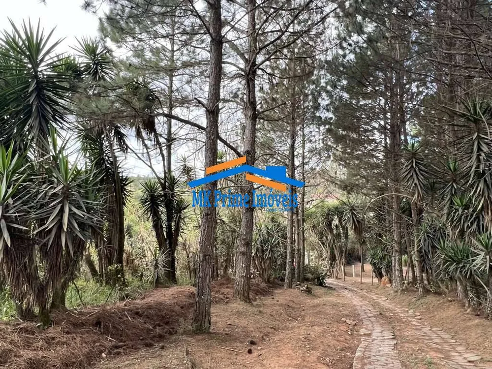 Terreno, 2 hectares - Foto 1
