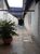 Sala-Conjunto, 330 m² - Foto 2