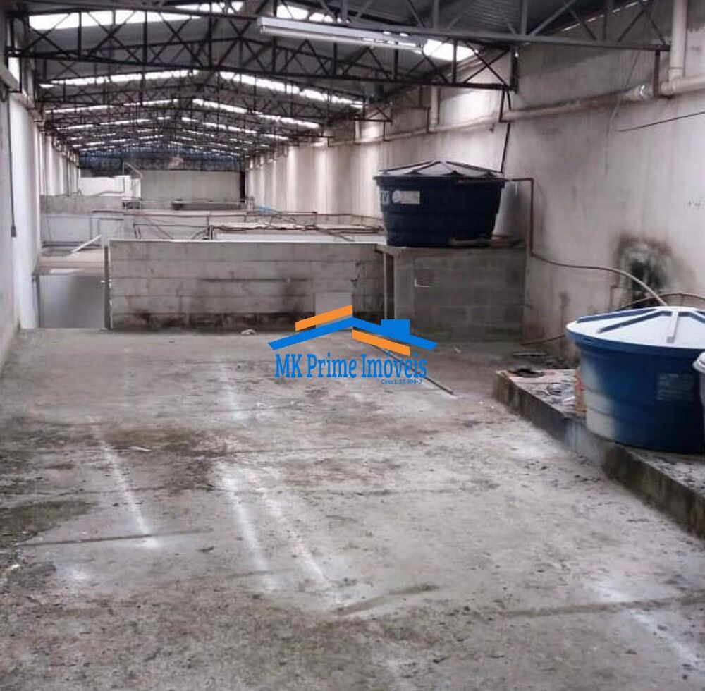 Depósito-Galpão, 505 m² - Foto 3