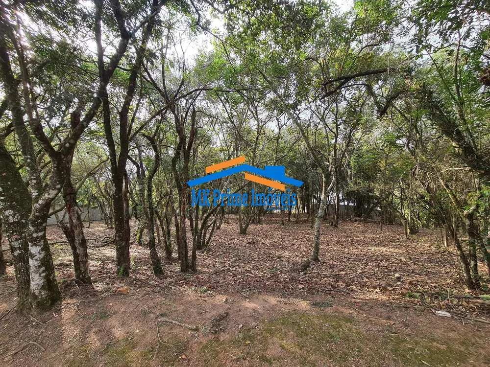 Terreno, 1575 m² - Foto 3