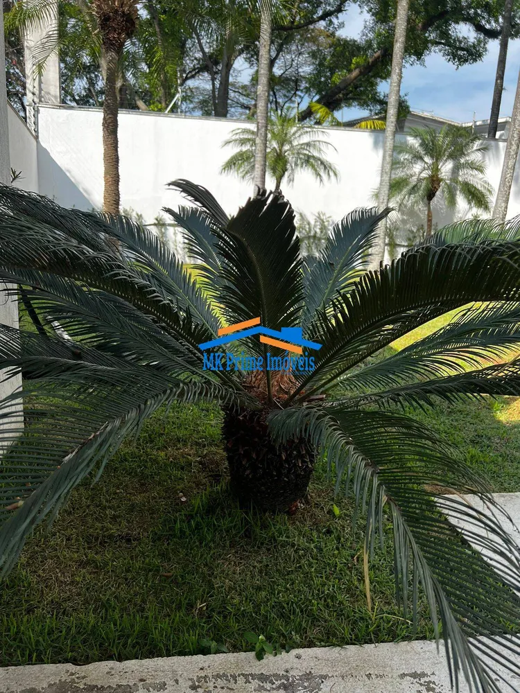 Sobrado, 3 quartos, 850 m² - Foto 5