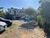 Terreno, 250 m² - Foto 2