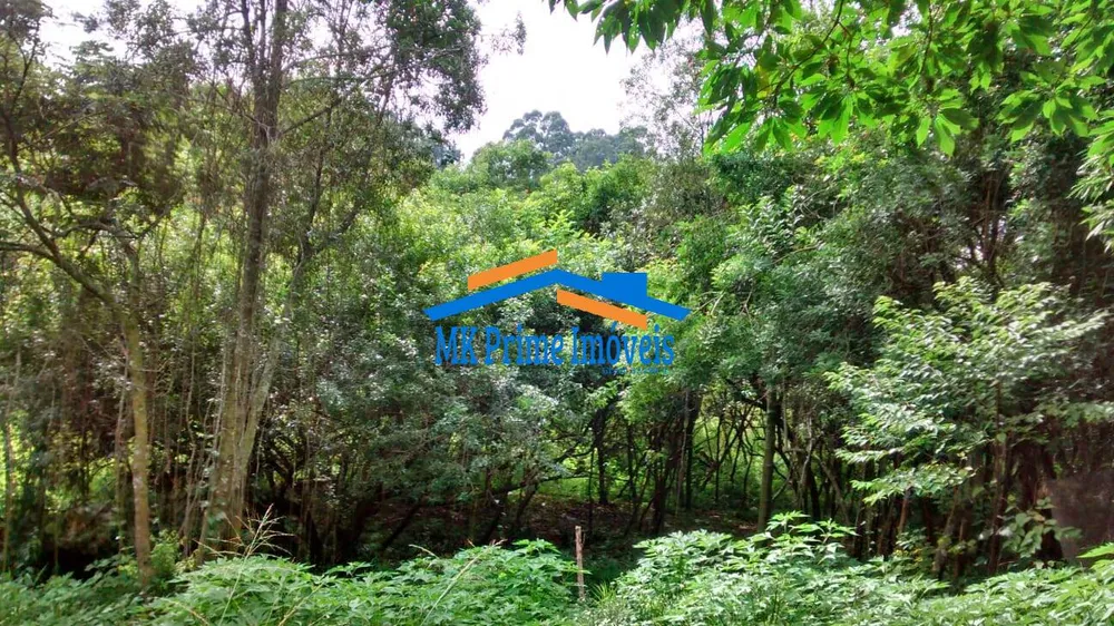 Terreno, 2000 m² - Foto 6