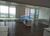Sala-Conjunto, 1300 m² - Foto 2