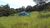 Terreno, 2 hectares - Foto 4