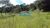 Terreno, 2 hectares - Foto 3
