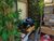 Apartamento, 3 quartos, 233 m² - Foto 3