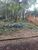 Terreno, 506 m² - Foto 4