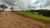 Terreno, 1000 m² - Foto 17